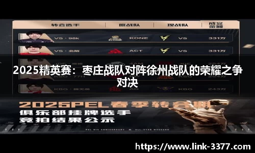 2025精英赛：枣庄战队对阵徐州战队的荣耀之争对决