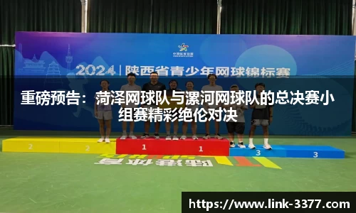 重磅预告：菏泽网球队与漯河网球队的总决赛小组赛精彩绝伦对决